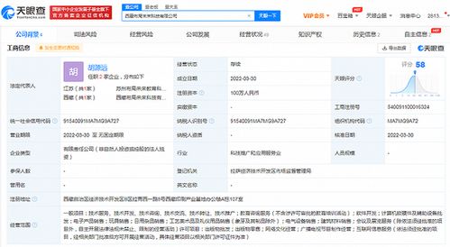 新東方拓展西藏市場 成立互聯網銷售子公司，注冊資本100萬元